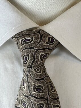 Park Lane for Nordstrom Men’s Necktie - Plum & Tan Paisley Jacquard Silk Tie